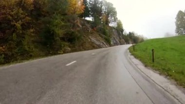 A view from the car's window of the long pathway with colorful autumn trees on a foggy day