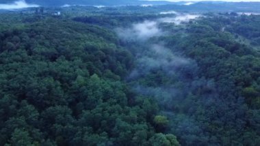 An aerial view over the forest during a foggy morning