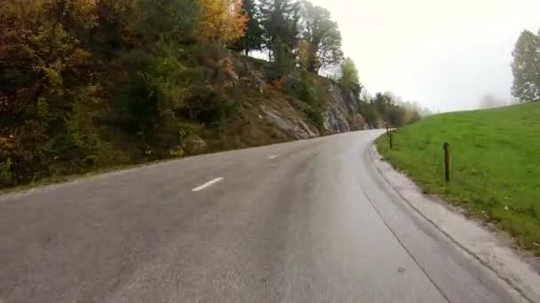 View Car Window Long Pathway Colorful Autumn Trees Foggy Day — Video