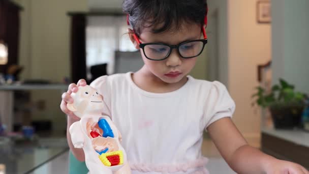 Shallow Focus Little Girl Assembling Parts Anatomy Doll — Vídeos de Stock