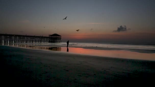 Footage Man Walking Empty Beach Background Sea Sunset — Stock video