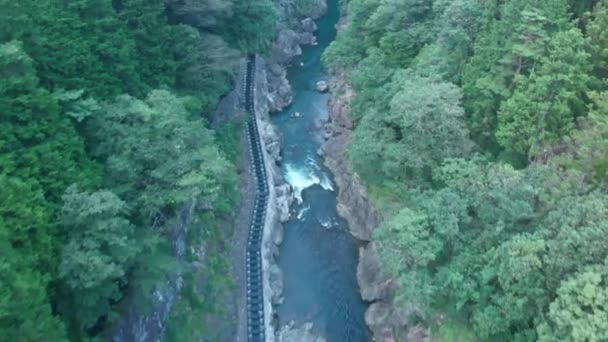 Drone Top View Beautiful Flowing River Forest Western China — Stok video