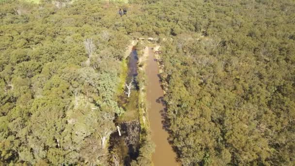 Αεροφωτογραφία Του Bushland Και Του Βάλτου Στην Emmaville Νέα Νότια — Αρχείο Βίντεο