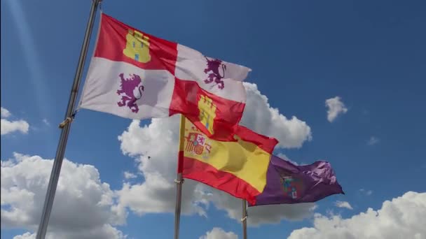 Footage Flags Castile Leon Autonomous Community Spain Palencia Waving Air — Stockvideo