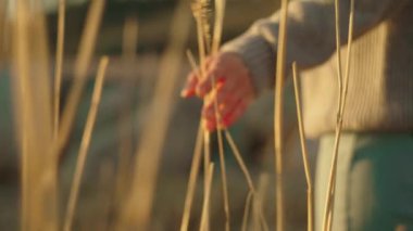 Young woman walking on the beach and reaching to the reeds with hand flowing through the reeds with