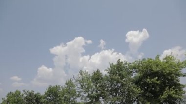 A time-lapse of moving clouds and trees waving in the wind