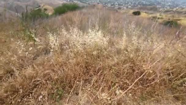 Panoramic Footage Hiking Trail Paths Melveny Park Granada Hills Los — Vídeos de Stock