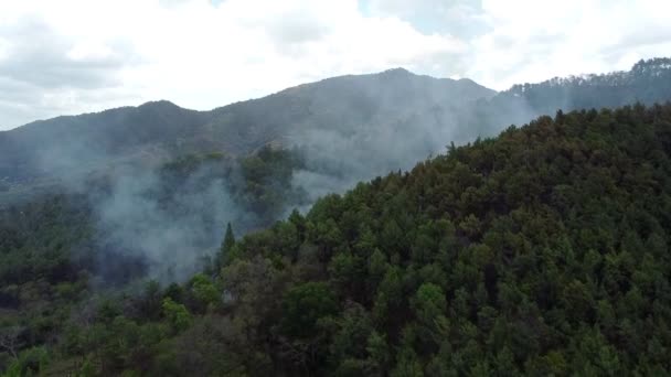 Smoke Rises Out Forest Fire Burns Underneet Trinidad — Stockvideo