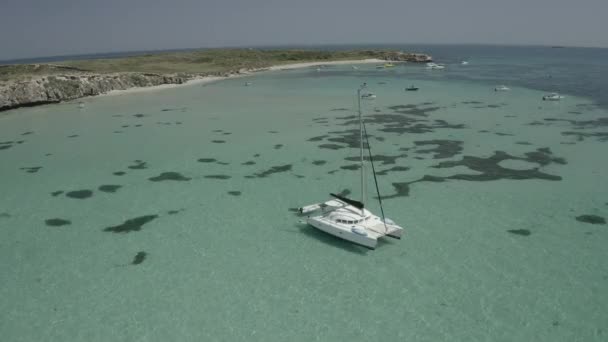 Aerial View White Ship Shallow Water Algae Shore — Vídeos de Stock