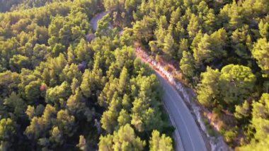 An aerial view of road through a lush green forest