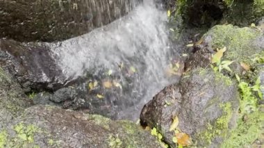 Clean nature water falling on stones, color leaves around