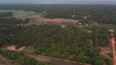 A beautiful aerial view of forests and countryside houses in daylight
