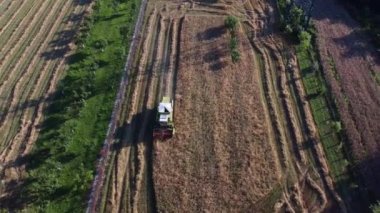 An aerial view of a combine harvester threshing wheat on a summer day
