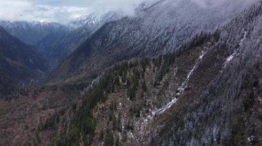 Karlı dağ sırasının kozalaklı ağaçlarla kaplı güzel drone görüntüleri..