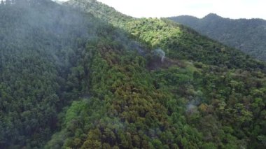 Smoke rises out of the forest as a fire burns underneet. Trinidad