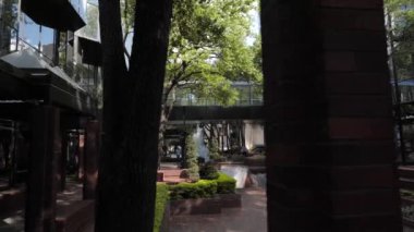 A beautiful park at the business center on a sunny summer day