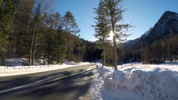 Countryside Road Snowy Forest Sunny Day — Video Stock