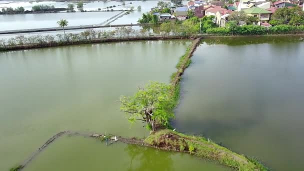 Aerial Footage Water Ponds Surrounding Residential Houses Village — Vídeo de Stock