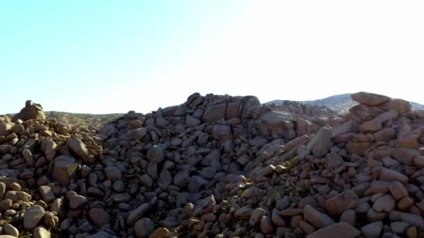 Garth Boulder Garden Californië Verenigde Staten — Stockvideo