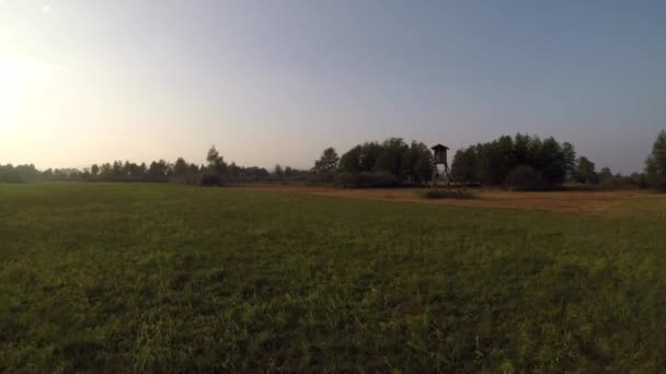 Beautiful Shot Large Field Slovenia Sunny Day — Wideo stockowe