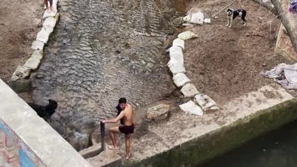 Young Boy Wears His Clothes Swimming — Stockvideo