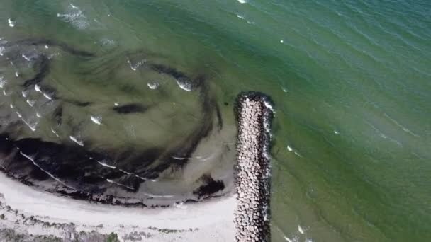 Aerial Shot Beach Green Sea — Wideo stockowe