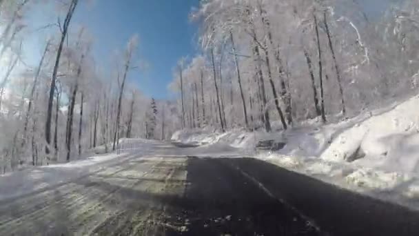 冬の雪に覆われた田舎道 木々はすべて晴れた霜の日に雪に覆われています — ストック動画