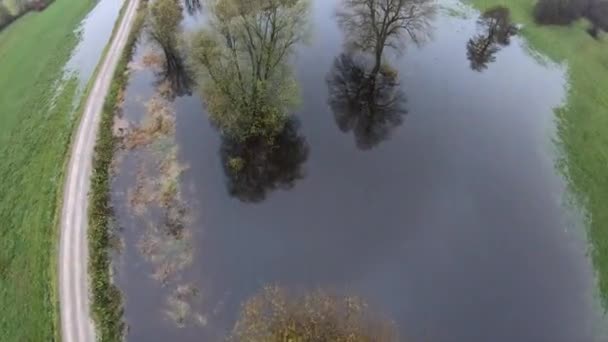 Aerial View Plants Growing Lake — Video Stock