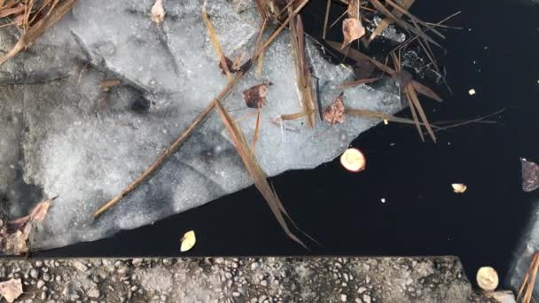 Piece Ice Floating Lake Close Ukraine — Stockvideo