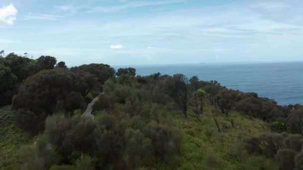 Moving Drone Going Path Surrounded Forest Rocky Coast Turquoise Water — Wideo stockowe