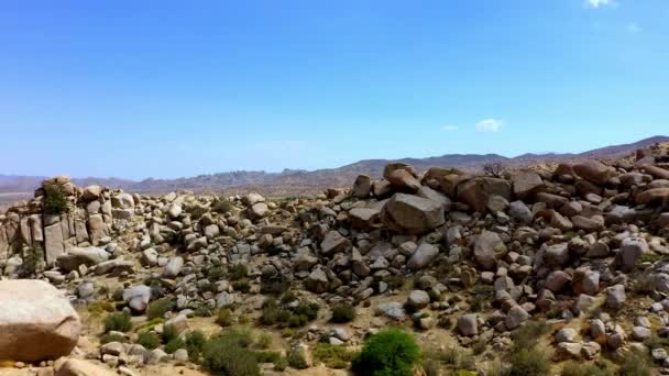 Daytime View Garths Boulder Garden Landscape — Vídeo de Stock