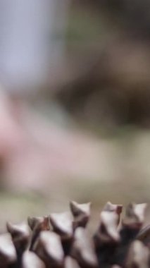 A vertical footage of a woman picking a weathered flower