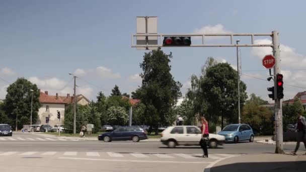 Beautiful Shot Traffic Lights Cars Pedestrians Crossing Street — Wideo stockowe