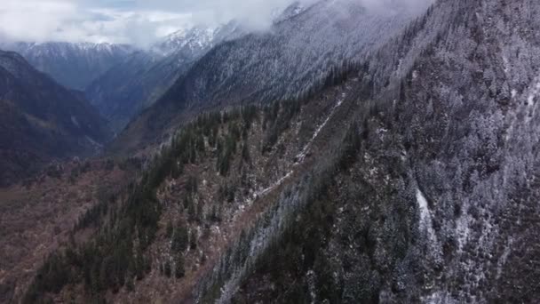 Karlı Dağ Sırasının Kozalaklı Ağaçlarla Kaplı Güzel Drone Görüntüleri — Stok video
