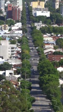 A vertical view of a road surrounded by trees in Buenos Aires, Argentina