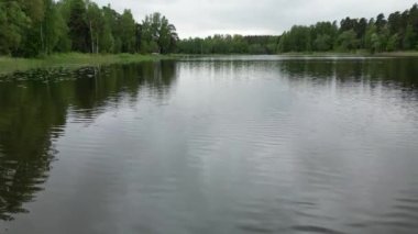 A beautiful view of a lake surrounded by trees with reflection in water in the daylight