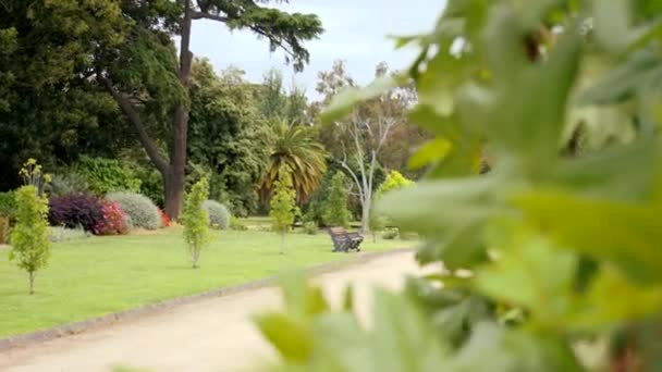 Left Pan Path Bendigo Botanic Gardens Victoria Australia — Vídeo de Stock
