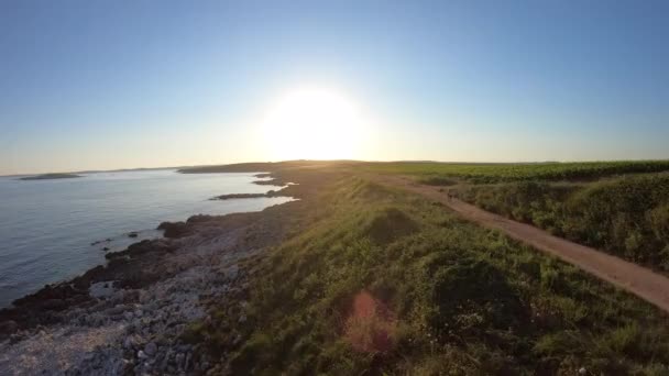 日出时分 在森林海岸附近的一片水域 以及骑自行车的人在一条狭窄的小径上行驶的场景 — 图库视频影像