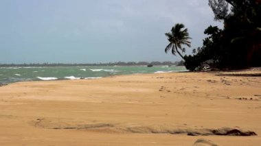 A natural view of beautiful Loiza beach in Puerto Rico during summertime