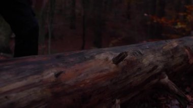 The footage of the man chopping the tree trunk with an ax.