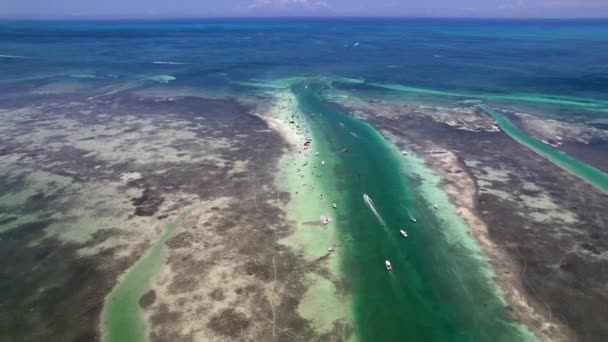 Aerial View Boats Florida Keys Usa — Vídeos de Stock