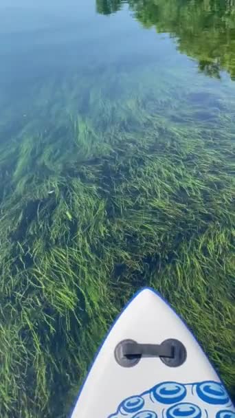 Green Seaweed Kayak — Stockvideo