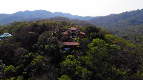 Aerial View Houses Surrounded Dense Green Trees — Stockvideo