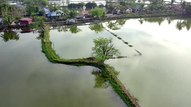 Bird Eye View Rural Landscape Water Fields Trees Houses — Stock video