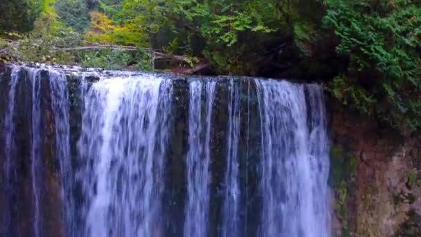 Hoggs Falls Summer Drone Footage Grey Country Hiking — Vídeos de Stock