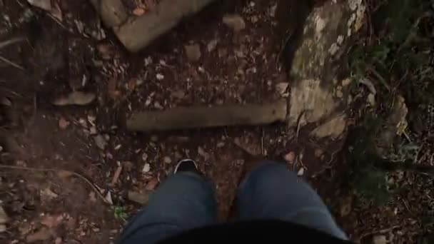 Pov Footage Man Shorts Climbing Trail Forest Fallen Leaves — Vídeos de Stock