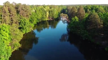 A beautiful view of a river in a forest with large green trees on a sunny day