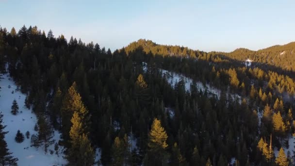 Aerial View Snowy Forested Mountains Nevada — Stockvideo