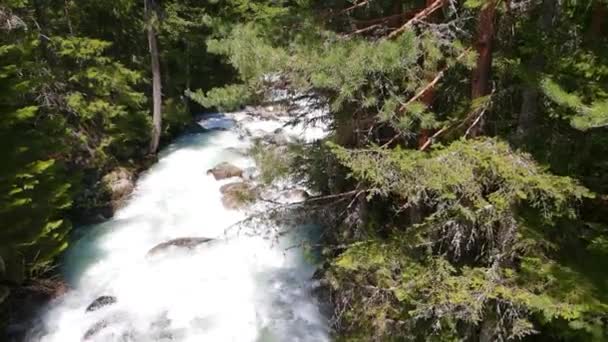 ブルガリアの自然の中でのグラズネ川の空中スローモーション — ストック動画