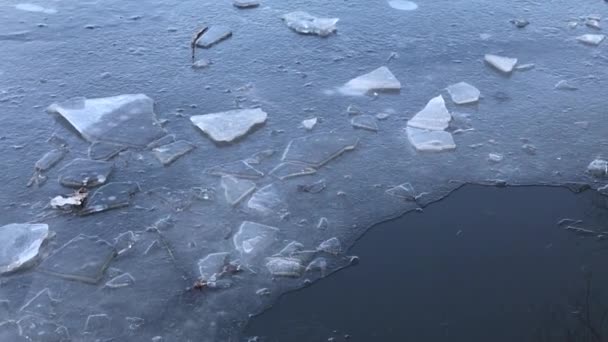 Gelo Lago Pôr Sol Juncos Gelo — Vídeo de Stock
